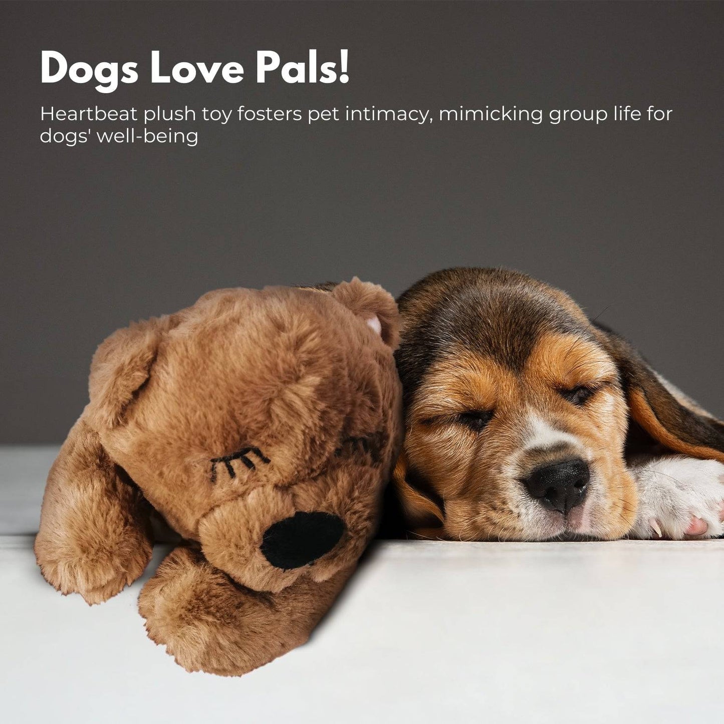 FLOOFI Pets Soft Plush Toy(Brown) - One Oasis