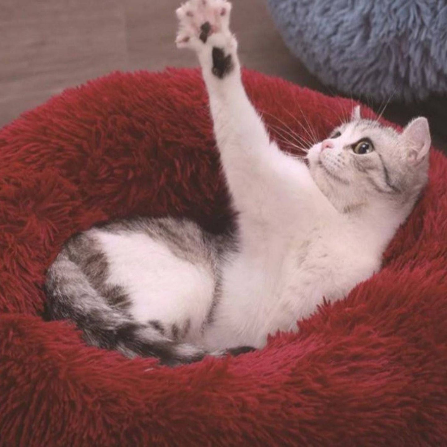 Floofi Pet Bed 60cm (Rose Gold) - One Oasis