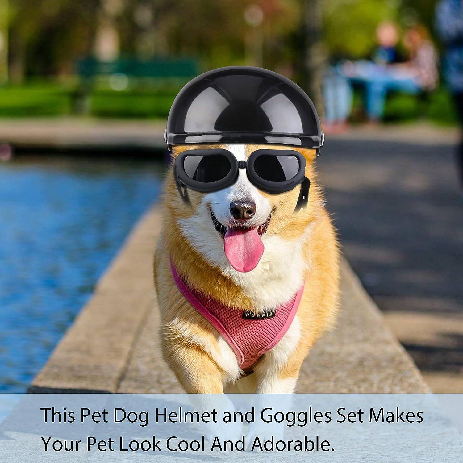 Dog Helmet Goggles, Small Size, Black - One Oasis