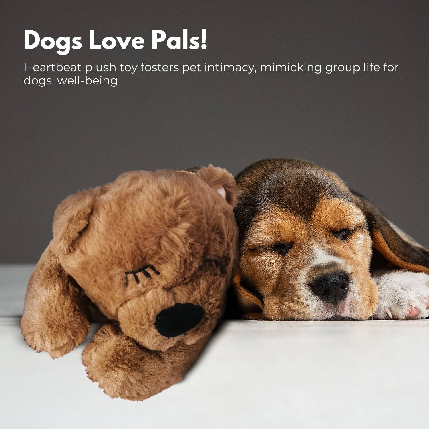 FLOOFI Pets Soft Plush Toy(Brown) - One Oasis