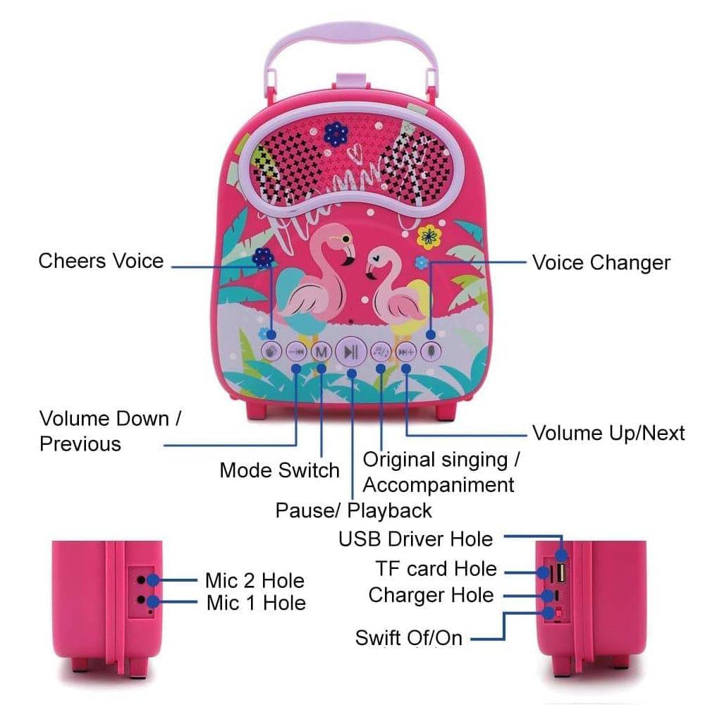 GOMINIMO Kids Portable Karaoke with Two Microphones (Rectangle, Pink Flamingo) - One Oasis