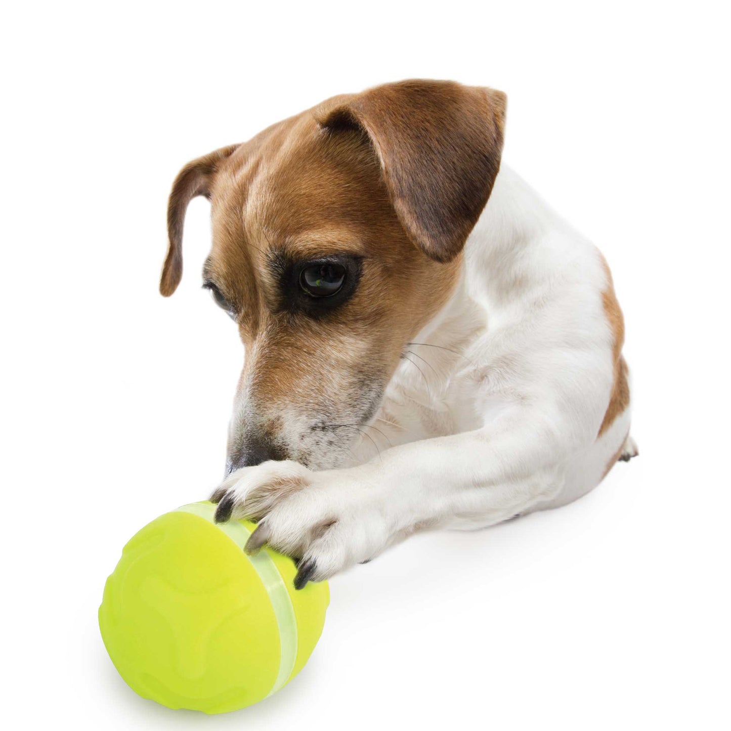 Dog Lucky Treat Toy With Rolling Ball Interactive Automatic Feeder Sound Light - One Oasis