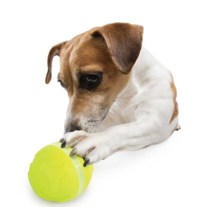 Dog Lucky Treat Toy With Rolling Ball Interactive Automatic Feeder Sound Light - One Oasis
