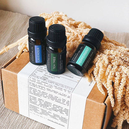 Kylin Aromatherapy Essential Oil Set Of 3 Assorted - One Oasis