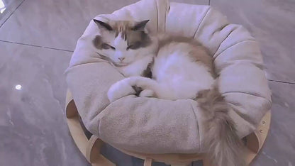 Timber Gyro Cat Nest Bed - One Oasis